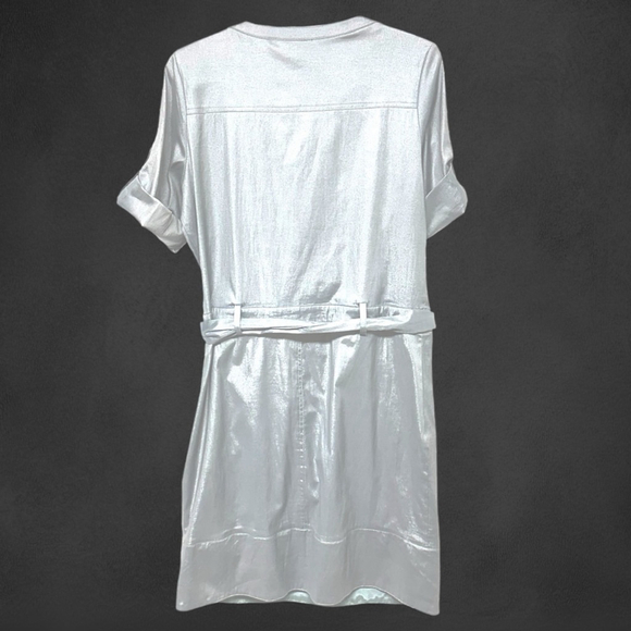 Ruscoe Metallic Silver Dress #112 - Picture 8 of 16